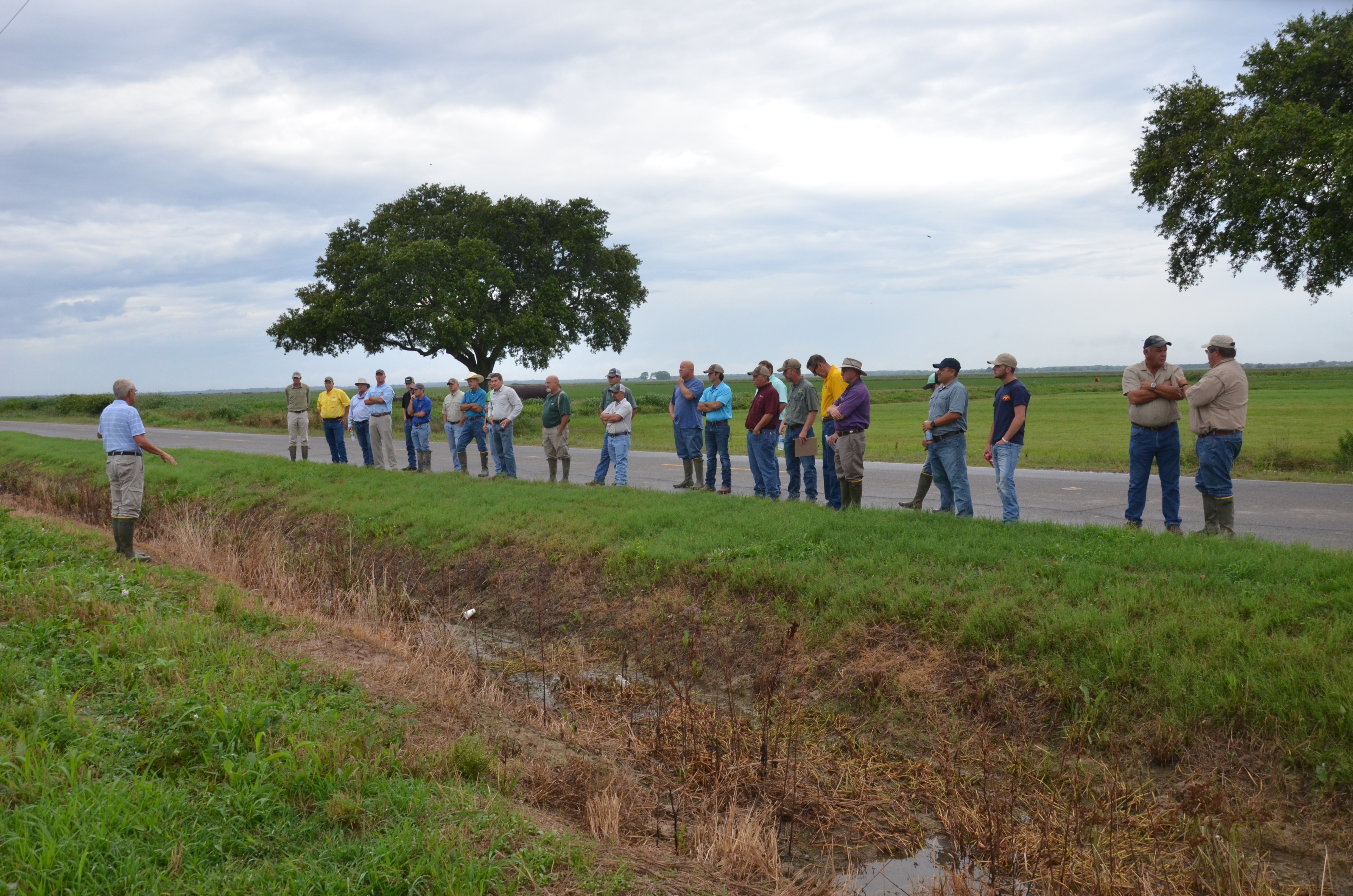 Recent rains concern rice growers 